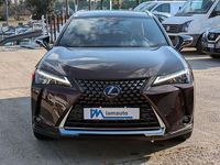Usata Lexus UX 250h 152 CV (111 kW) 2021 Marrone SUV