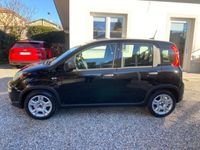 usata Fiat Panda 1.0 1.0 FireFly S&S Hybrid City Life