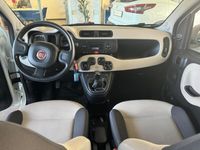 usata Fiat Panda 1.2 Easy