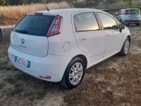 Usata Fiat Punto Lounge 85 CV (62 kW) 2012 Bianco Utilitaria