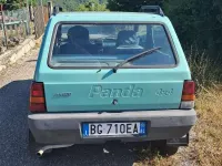Usata Fiat Panda 4x4 Trekking 54 CV (39 kW) 1999 Verde Utilitaria