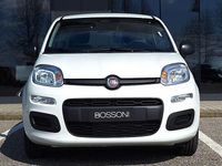 Nuova Fiat Panda Icon 65 CV (47 kW) 2026 Bianco Utilitaria