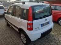 usata Fiat Panda 4x4 - - 1.2