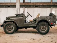 Usata Jeep Willys 1970 Verde SUV