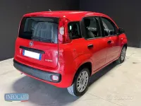 Usata Fiat Panda 69 CV (50 kW) 2022 Rosso pastello Utilitaria