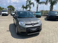 Usata Fiat Panda City Life 70 CV (51 kW) 2023 Grigio Utilitaria