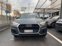 usata Audi Q5 40 TDI quattro S tronic Business Sport