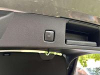 Usata Ford Kuga Titanium X 152 CV (111 kW) 2023 SUV