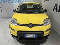 Usata Fiat Panda S 69 CV (50 kW) 2024 Giallo Utilitaria