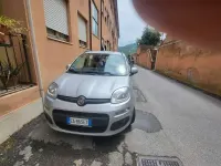 Usata Fiat Panda Active 60 CV (44 kW) 2020 Argento Utilitaria