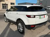 Usata Land Rover Range Rover evoque HSE 150 CV (110 kW) 2015 Bianco SUV