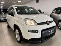 Usata Fiat Panda S 70 CV (51 kW) 2022 Grigio Utilitaria