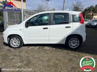 usata Fiat Panda Easy 2017 - Nazionale - ok neopatentati