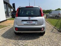 Usata Fiat Panda 75 CV (55 kW) 2015 Argento Utilitaria