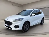 Usata Ford Kuga ST-Line X 225 CV (165 kW) 2023 Bianco SUV