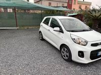 Usata Kia Picanto 68 CV (50 kW) 2016 Bianco Utilitaria