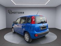 Usata Fiat Panda Icon 69 CV (50 kW) 2024 Nero Utilitaria