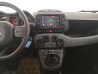 usata Fiat Panda Cross 1.0 firefly hybrid City 5 posti APPLECARPLAY