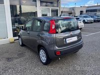 Usata Fiat Panda S 69 CV (50 kW) 2021 Grigio Berlina