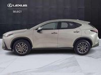 Usata Lexus NX200t 185 CV (136 kW) 2023 Argento SUV