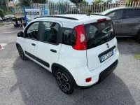 Usata Fiat Panda Cross 69 CV (50 kW) 2022 Bianco Utilitaria