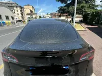Usata Tesla Model Y RWD 114 kW (155 CV) 2024 Nero SUV