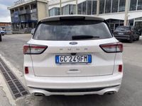 usata Ford Kuga 1.5 EcoBlue 120 CV 2WD ST-Line