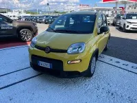 Usata Fiat Panda S 69 CV (50 kW) 2024 Giallo Utilitaria