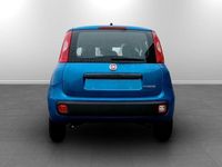 Nuova Fiat Panda Icon 70 CV (51 kW) 2025 Vari colori disponibili Utilitaria