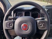 Usata Fiat Panda S 69 CV (50 kW) 2023 Nero Utilitaria