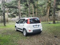 Usata Fiat Panda City Life 69 CV (50 kW) 2023 Utilitaria