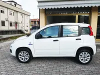 Usata Fiat Panda Easy 84 CV (61 kW) 2020 Bianco Utilitaria
