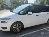 Usata Citroën C4 Picasso 120 CV (88 kW) 2016 Bianco Monovolume