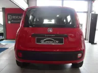 Usata Fiat Panda Easy 95 CV (69 kW) 2019 Rosso Utilitaria