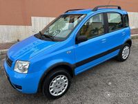 Usata Fiat Panda 4x4 Climbing 59 CV (43 kW) 2005 Blu Utilitaria