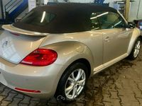 Usata VW Beetle Cabriolet 105 CV (77 kW) 2016 Beige Cabrio