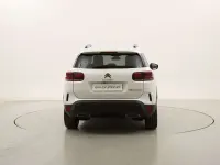 Usata Citroën C5 Aircross Shine 131 CV (96 kW) 2023 Bianco SUV