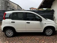 Usata Fiat Panda S 70 CV (51 kW) 2024 Utilitaria