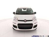 Nuova Fiat Panda Icon 65 CV (47 kW) 2026 Bianco Utilitaria