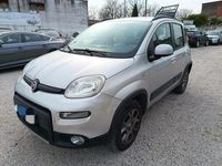 Usata Fiat Panda 4x4 S 85 CV (62 kW) 2013 Grigio Utilitaria