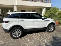 Usata Land Rover Range Rover evoque 150 CV (110 kW) 2017 SUV