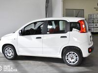 Usata Fiat Panda Easy 69 CV (50 kW) 2020 Bianco Utilitaria