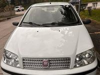 Usata Fiat Punto Active 60 CV (44 kW) 2009 Bianco Utilitaria
