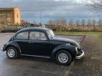 Usata VW Beetle 1970 Utilitaria