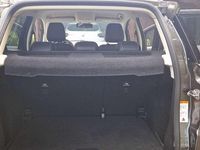 Usata Ford Ecosport ST-Line 101 CV (74 kW) 2019 SUV