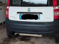 Usata Fiat Panda 4x4 60 CV (44 kW) 2006 Bianco Utilitaria