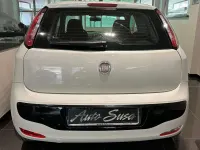 Usata Fiat Punto Evo S 69 CV (50 kW) 2011 Bianco Utilitaria