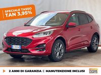 Usata Ford Kuga ST-Line 225 CV (165 kW) 2024 Rosso SUV