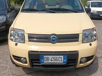 Usata Fiat Panda 4x4 2006 Giallo Utilitaria