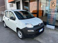 usata Fiat Panda 1.0 GSE S&S Hybrid Pop Van 2 posti